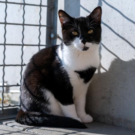Jean, Jana, Jasper und Julialle reserviert