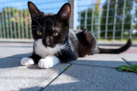 Jean, Jana, Jasper und Julialle reserviert