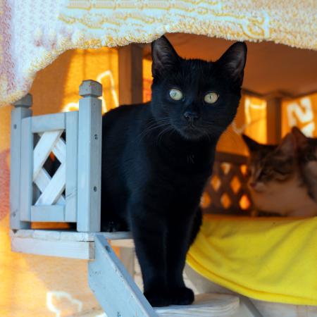 Jean, Jana, Jasper und Julialle reserviert
